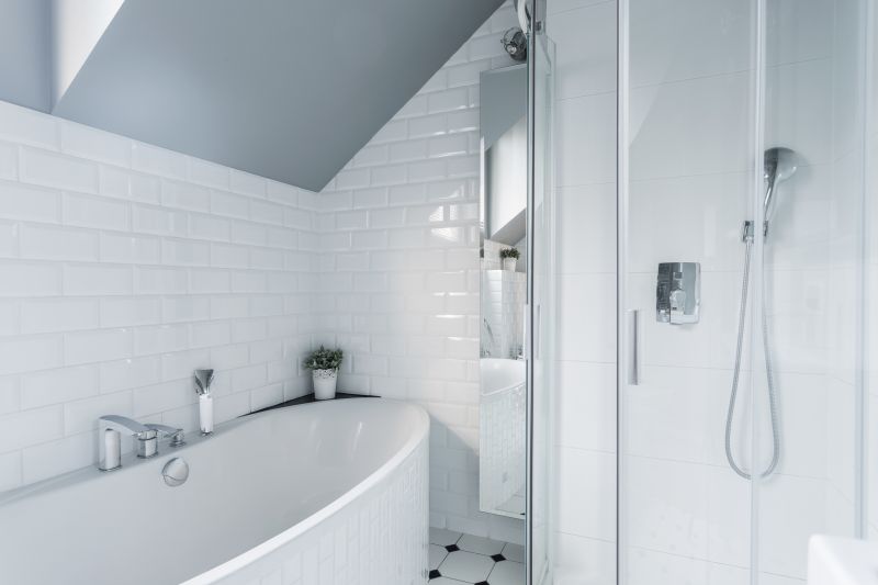Elegant Tub to Shower Conversion
